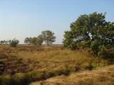 Oppenweher Moor
