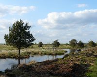 Oppenweher Moor