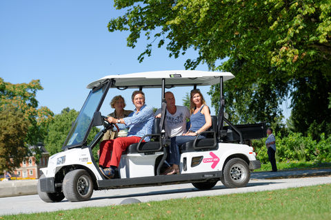 Elektromobilit&auml;t-Golfcart