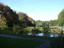 Kurpark Rothenuffeln