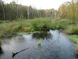 Hiller Moor