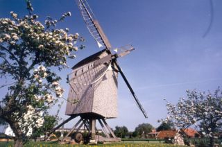 Wockwindm&uuml;hle Wehe im Fr&uuml;hling