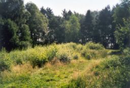 H�gelbereich