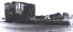Burgruine in s/w