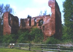 Burgruine Nahaufnahme
