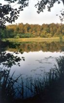 Schnakenpohl