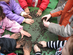 Kindergarten "Hand in Hand"