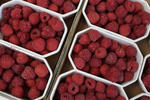 Frische Himbeeren in Schalen zum Verkauf