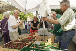 Wochenmarkt Espelkamp