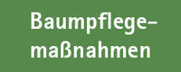Button Baumpflegema&szlig;nahmen