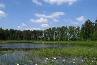 Image Natur- und Landschaftspflege