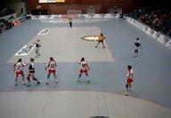 Handball-L�nderspiel
