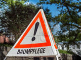 Baumpflege