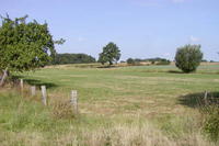 Landschaftsplanung