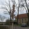 Eiche in Petershagen/Ovenst�dt