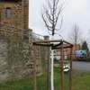 Linde/Preu�isch Oldendorf Holzhausen