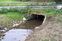 Anlage am Gew�sser