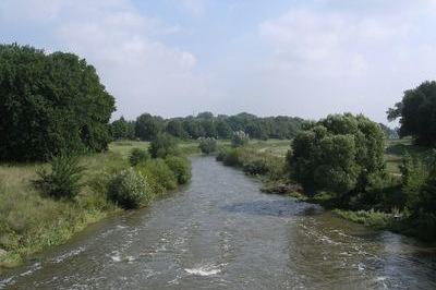 Image Gew�sser