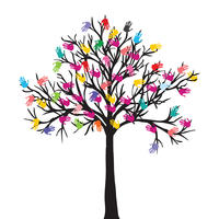 Ki Baum