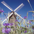 Windm�hle Destel, Espelkamp