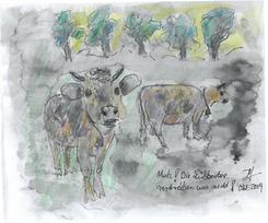 Illustration Weideland L�bbecker Berg