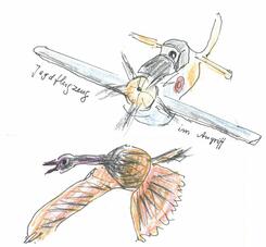 Jagdflugzeug im Angriff