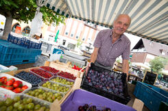 Wochenmarkt in L�bbecke