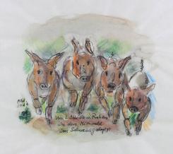 Von L�bbecke und Rahden in den Mittwald im Schweinsgalopp