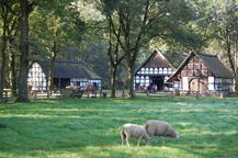 Museumshof Rahden &Uuml;bersicht