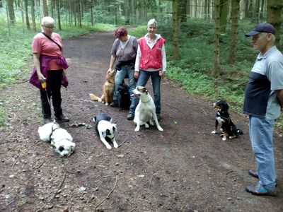 ZWAR Hundesitting-Gruppe hat noch freie Pl�tze