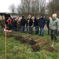 Bild vergr��ern: Tormoehlen und Pflanzen