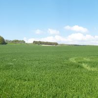 Bild vergr��ern: Biebusch, Matthias, StBerg Westrup Fr�hjahr 2015