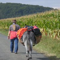 Bild vergr��ern: Priesmeier, Brigitte, Eselwanderin auf dem Weg zum Stemweder Berg17.04.2015