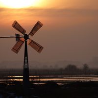 Bild vergr��ern: Riedel, Tanja,Dielinger Moor