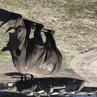 Bild vergr��ern: 19-08 Familienausflug Serengeti Park 3