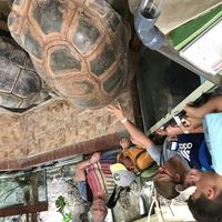 Bild vergr��ern: 19-08 Zoo OS Sommerferien 1