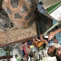 Bild vergr��ern: 19-08 Zoo OS Sommerferien 2