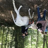 Bild vergr��ern: 19-08 Eselreiten m OGS Oppenwehe 1
