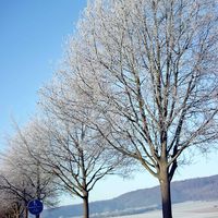 Bild vergr��ern: My beautiful picture