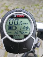 Leckeres Eis mit R�ckenwind