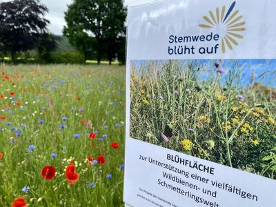 bluehflaeche_westrup_2023 (1)