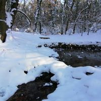 Bild vergr��ern: Quelle in Wasserstra�e