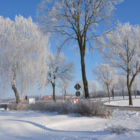 Bild vergr��ern: 20210213-Winter am Drehum in D�hren