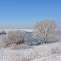 Bild vergr��ern: 20210213-Winter in D�hren an der Weser
