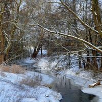 Bild vergr��ern: 2021 Ilse2 02