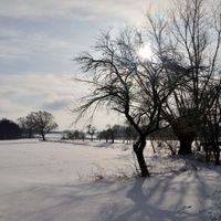Bild vergr��ern: 2021 Ilse4 04