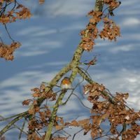 Bild vergr��ern: SONY DSC