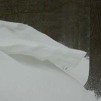 Bild vergr��ern: SONY DSC