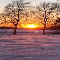 Bild vergr��ern: 2021 Me�lingen 06