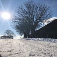 Bild vergr��ern: 2021 Me�lingen 07
